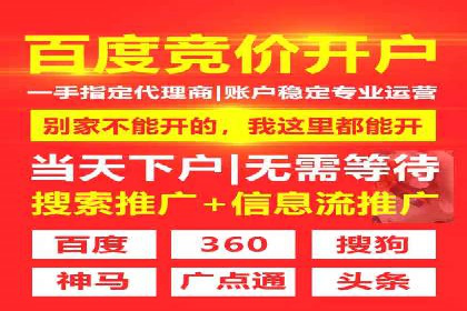 某零售业SEM策略调整，实现销售业绩大增